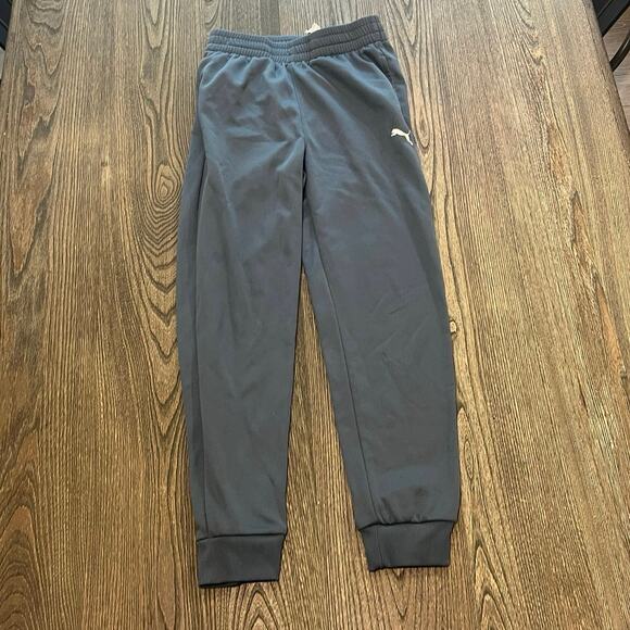 Puma Youth Boys Jogger Pants Elastic Waist Pull-On Pockets Gray Size L 10/12 - Picture 1 of 7